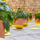 Illustration for article titled This Topsy Turvy Flower Pot Can Rotate Around to Follow the Sun